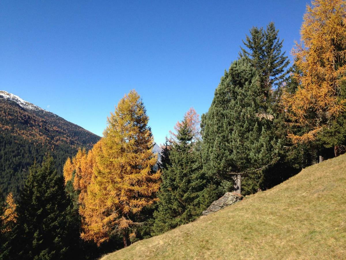 Chalet Del Bosco Valdisotto Luaran gambar