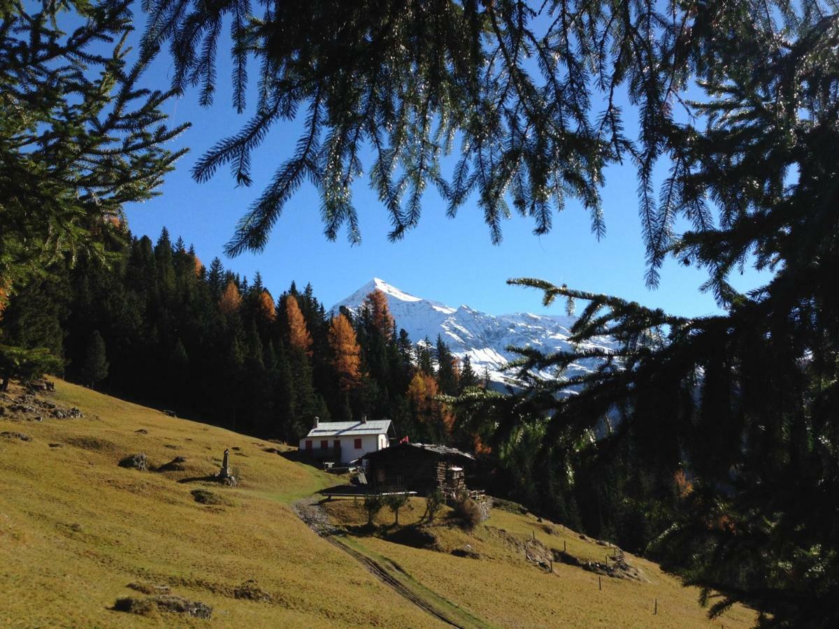 Chalet Del Bosco Valdisotto Luaran gambar